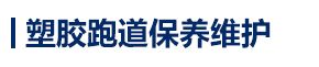 全塑型塑胶跑道