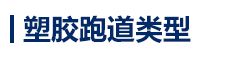 全塑型塑胶跑道