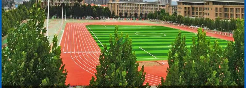 汝阳一中-全塑自结纹跑道